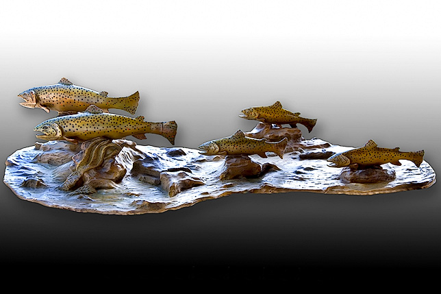Brown Trout