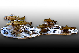 Brown Trout 1