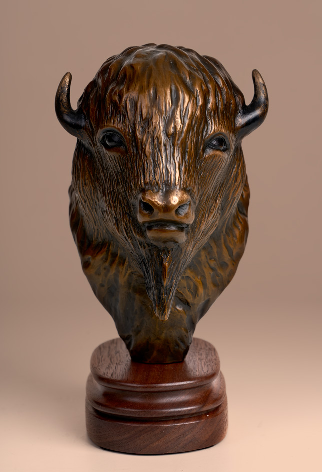 Buffalo Head (new)
