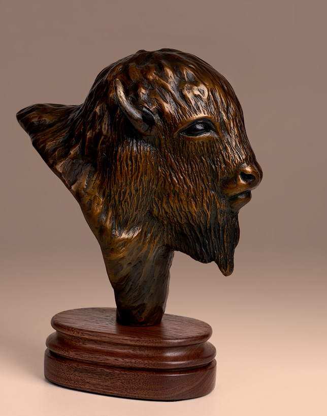 Buffalo Head (new)