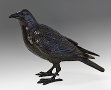 Mr. Crow